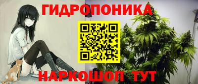 шишки Апрелевка