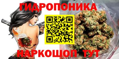 винт Балашиха