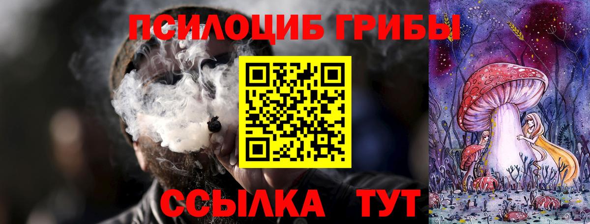 Галлюциногенные грибы Cubensis  Нарткала  Галлюциногенные грибы Psilocybe 